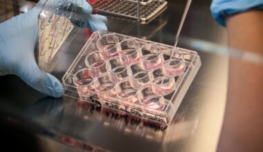 B.C. research ‘opens the door’ to more effective cancer therapies