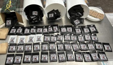 Synthetic cannabis, contraband cigars seized from Edmonton convenience stores: EPS