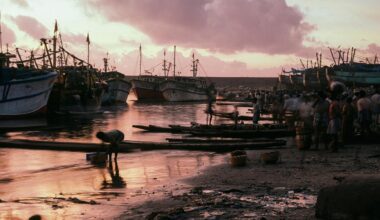 I’m a shark hunter. Like my prey, I am a declining species