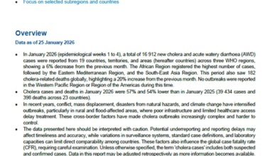 Multi-country outbreak of cholera, epidemiological update #34 -21 February 2026