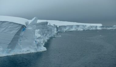 A view of the Thwaites Glacier in Antarctica.