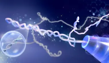 Scientists were wrong for decades about DNA knots