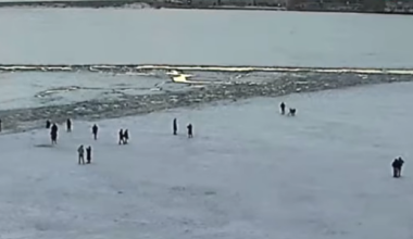 Police warn of growing danger as hundreds venture onto icy Toronto waterfront