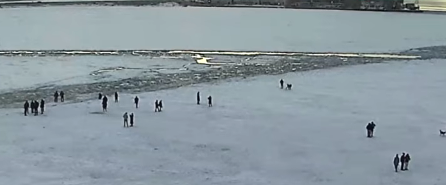 Police warn of growing danger as hundreds venture onto icy Toronto waterfront