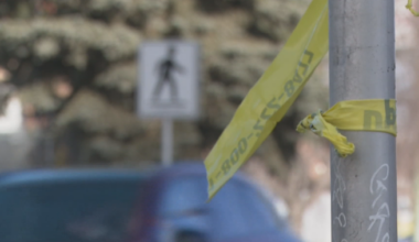 Calgary mayor asks photo radar ban be reconsidered after recent traffic fatalities - Calgary