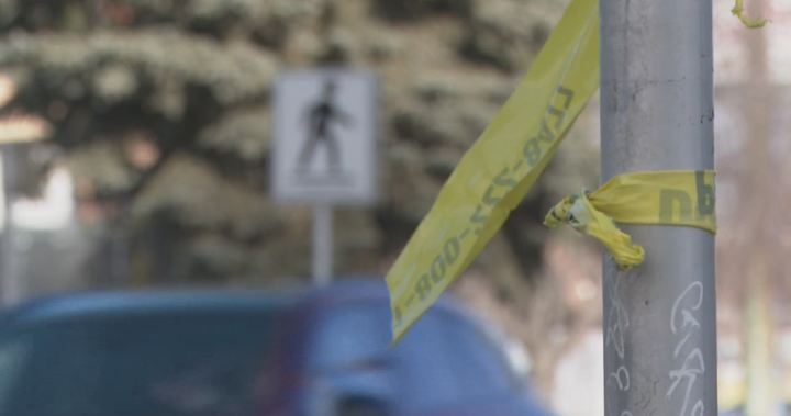 Calgary mayor asks photo radar ban be reconsidered after recent traffic fatalities - Calgary