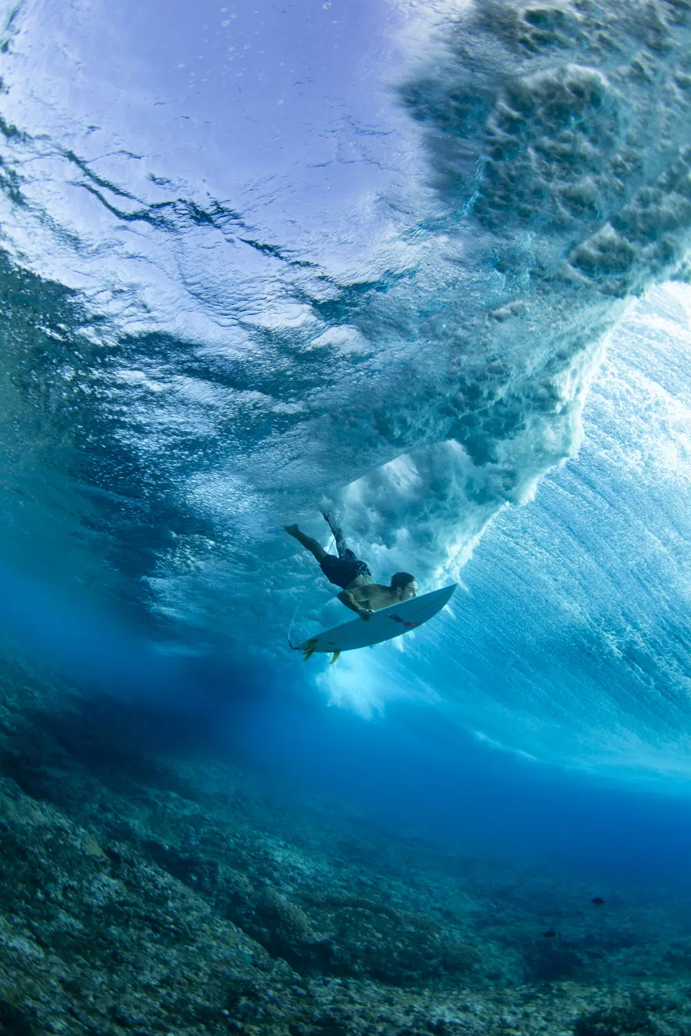 Winner, Best Single Image in Adventures & Experiences Portfolio. Frederico Figueiredo Cerdeira, “Cloudbreak Reef, Tavarua Island, Fiji.”