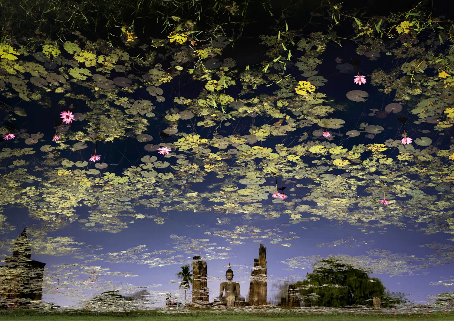 One Shot Winner: Green Planet. John Edwards, “Sukhothai, Thailand.”