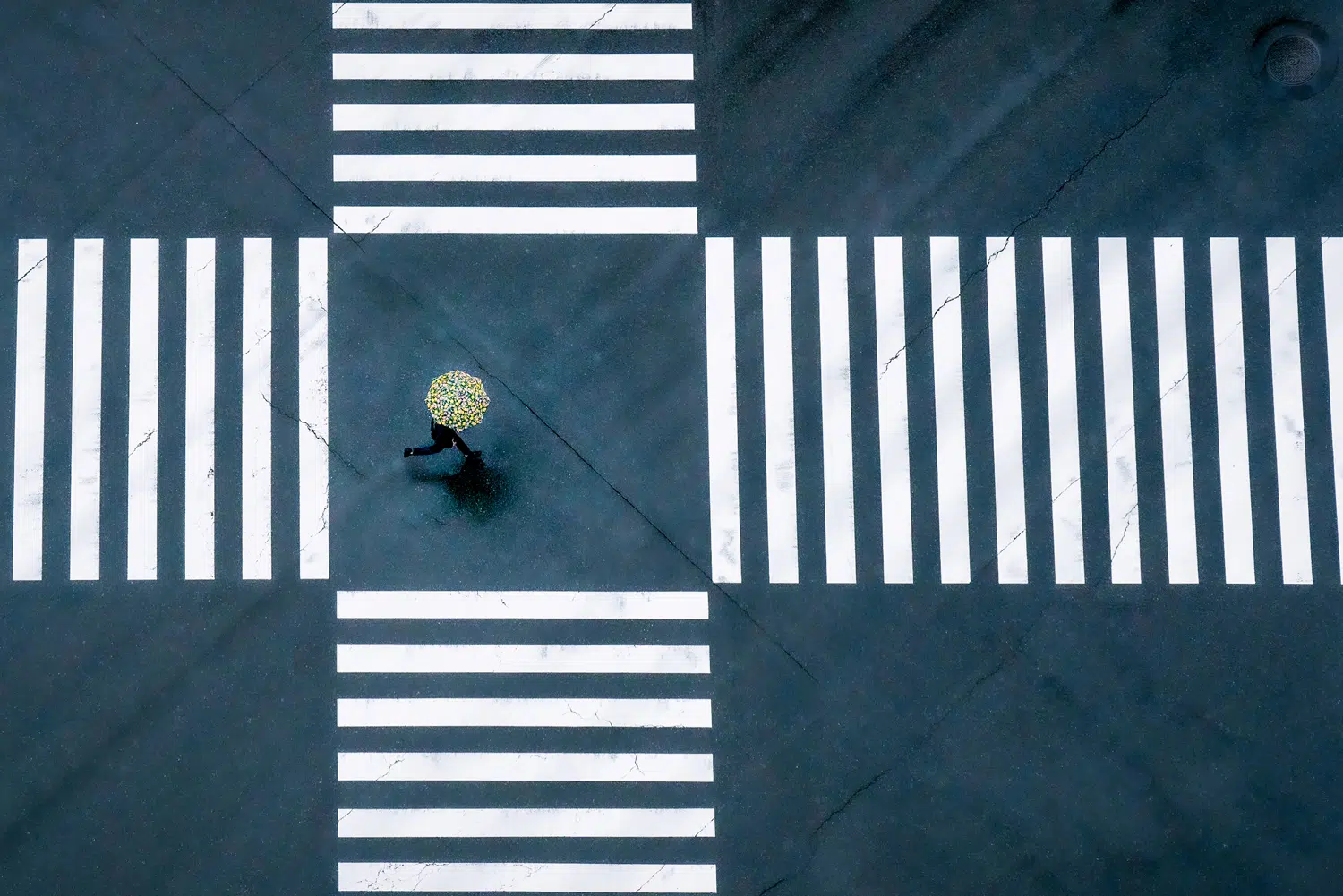 One Shot Winner: Slow Travel. Teo Chin Leong, “Tokyo, Japan.”