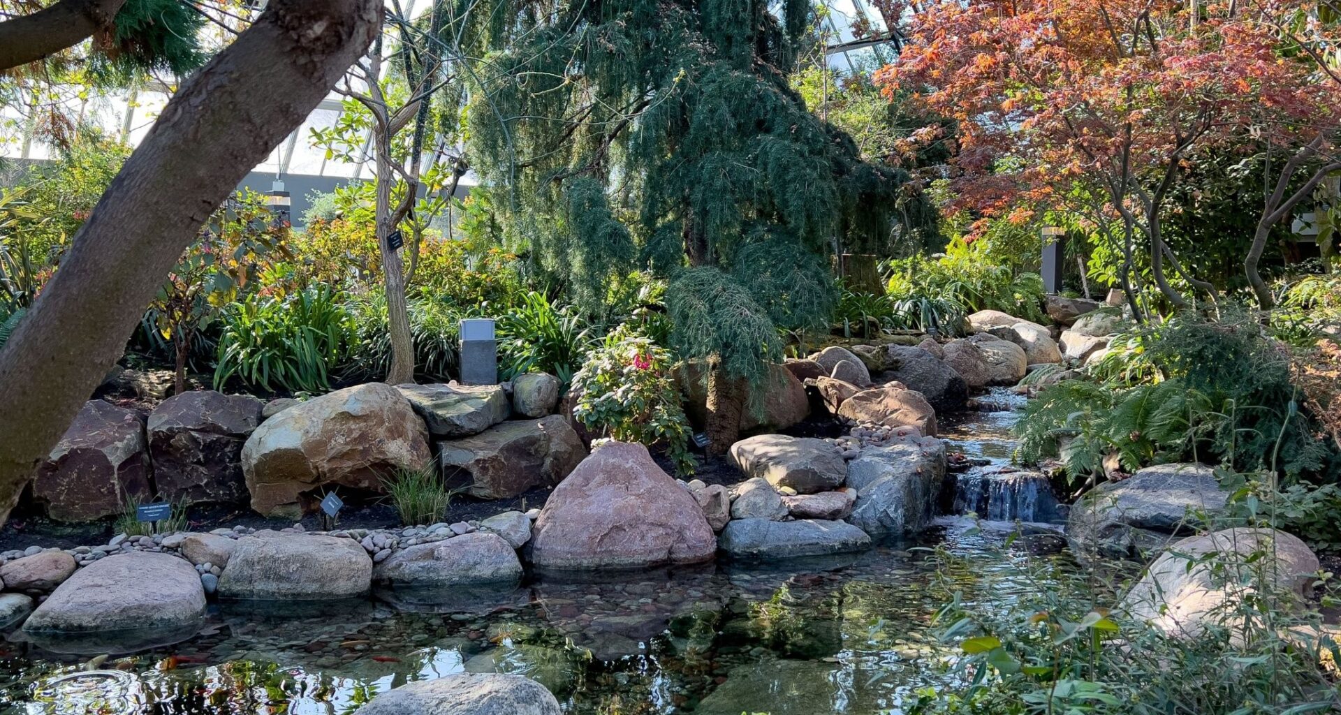 10 things to do this week in Edmonton (Feb. 23-27)