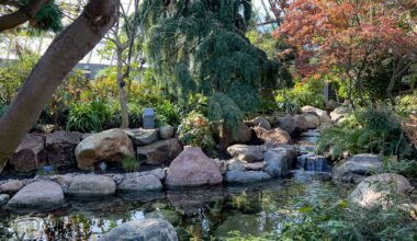 10 things to do this week in Edmonton (Feb. 23-27)