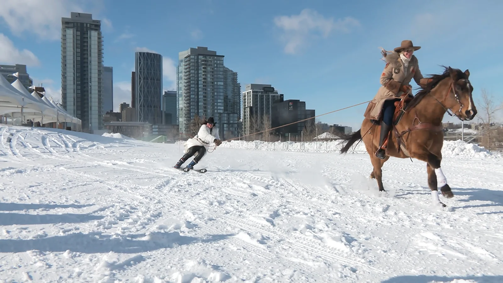 Skijordue, Horse, Calgary, Winter, Alberta, Snow, Feb. 19, 2026. (The Weather Network/Connor O’Donovan)