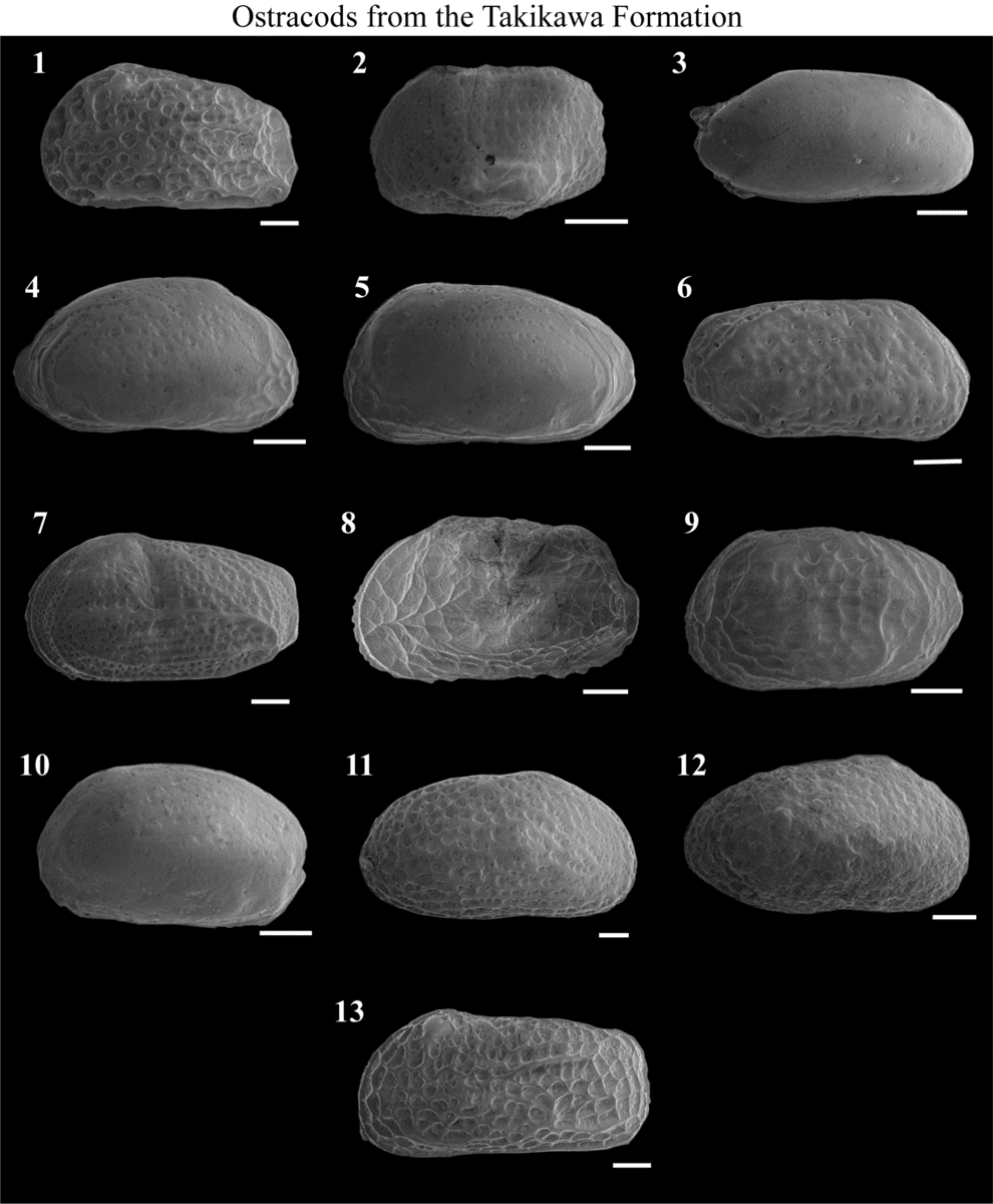 Urn Cambridge.org Id Binary 20251125132206459 0484 S0022336025101789 S0022336025101789 Fig6