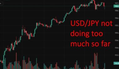 Japan household spending slumps in December as inflation squeezes consumers (more)