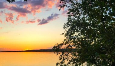 Canada’s boreal forest shifting north, boosting carbon storage potential | play 103.7