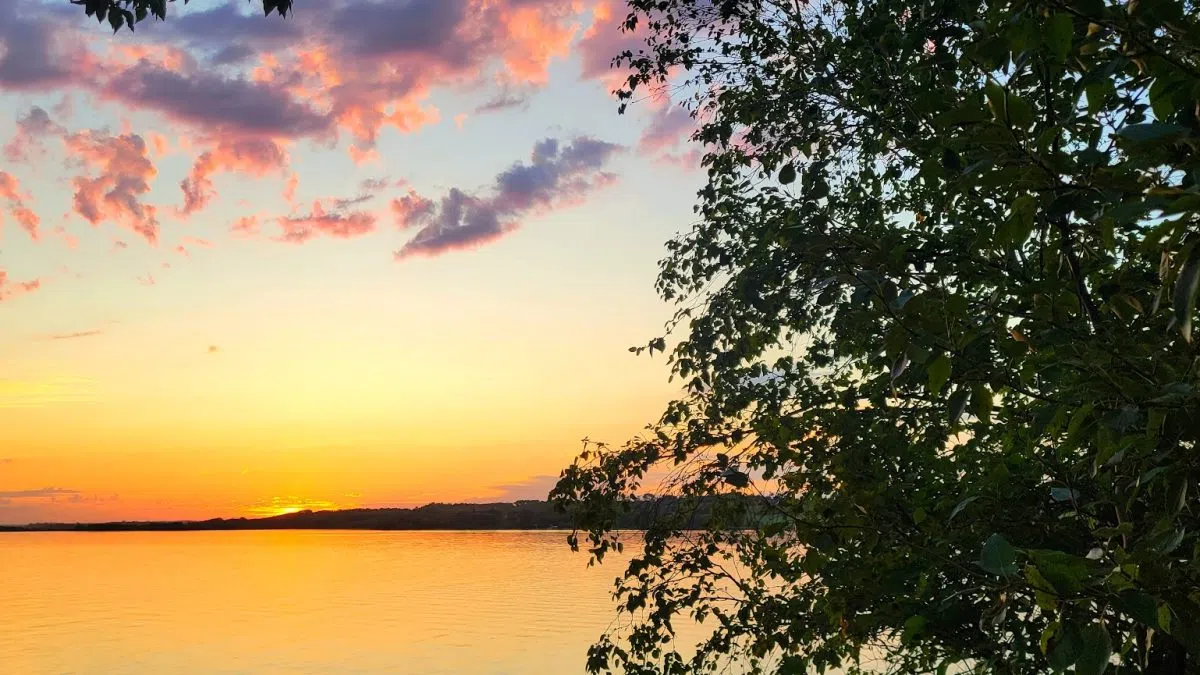 Canada’s boreal forest shifting north, boosting carbon storage potential | play 103.7