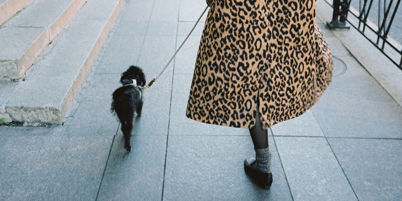 What 10,000 Steps a Day Gets Right (and Wrong) About Health and Weight