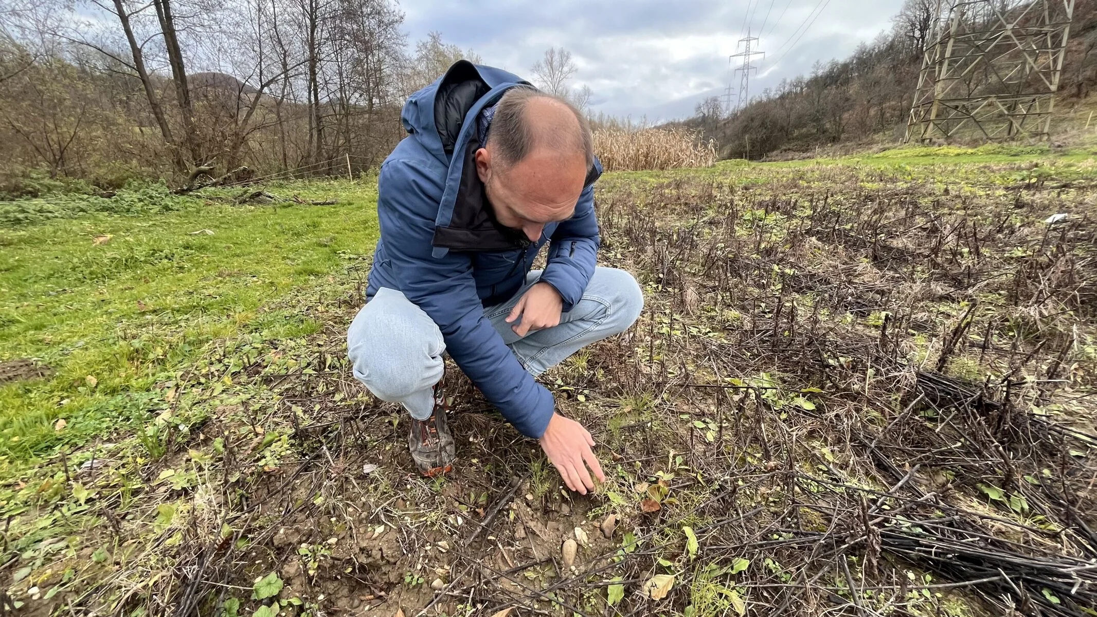 Sebastian Ursuta examines a bison hoofprint near an orchard