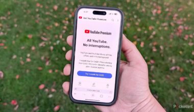 YouTube is almost unusable now unless you pay for it