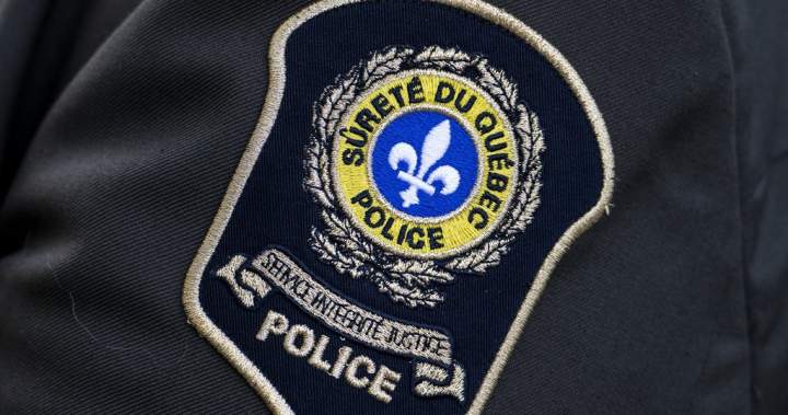Amber Alert cancelled in Quebec after two boys found safe - Montreal