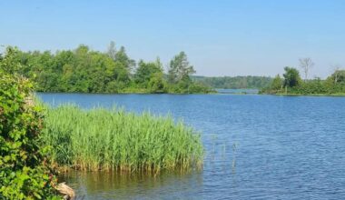 Tucked Between Montreal And Ottawa Is Canada's Scenic Riverside Park With Beaches, Camping, And Trails