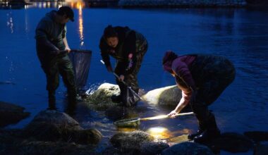 Ottawa raises catch limit for juvenile eels in the Maritimes, but complaints linger
