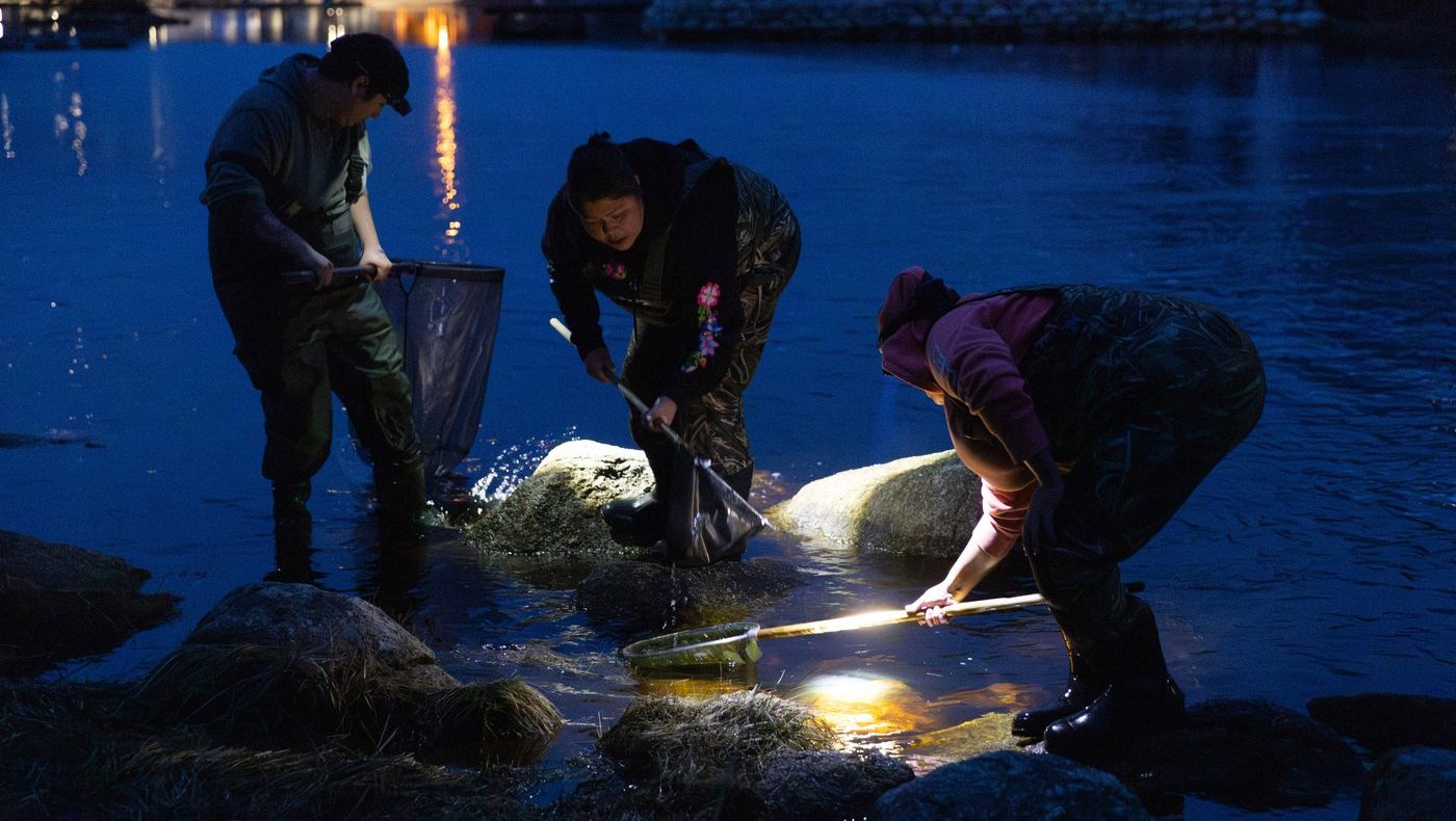 Ottawa raises catch limit for juvenile eels in the Maritimes, but complaints linger