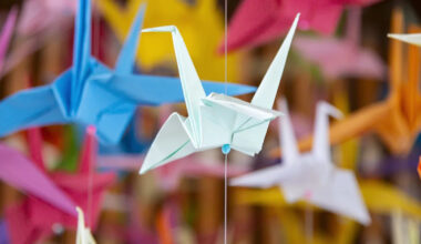 Know when to fold them: the tech inspired by origami