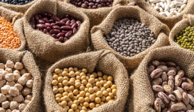 Subscribe to The Australian | Newspaper home delivery, website, iPad, iPhone & Android apps