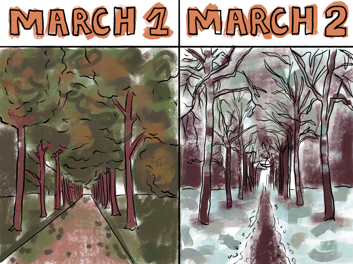 Montreal’s heat is political | Opinions – The Link