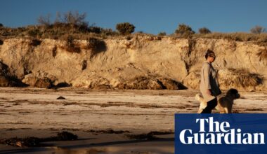 Stripped of life: the deadly South Australian algal bloom is still spreading one year on | Environment