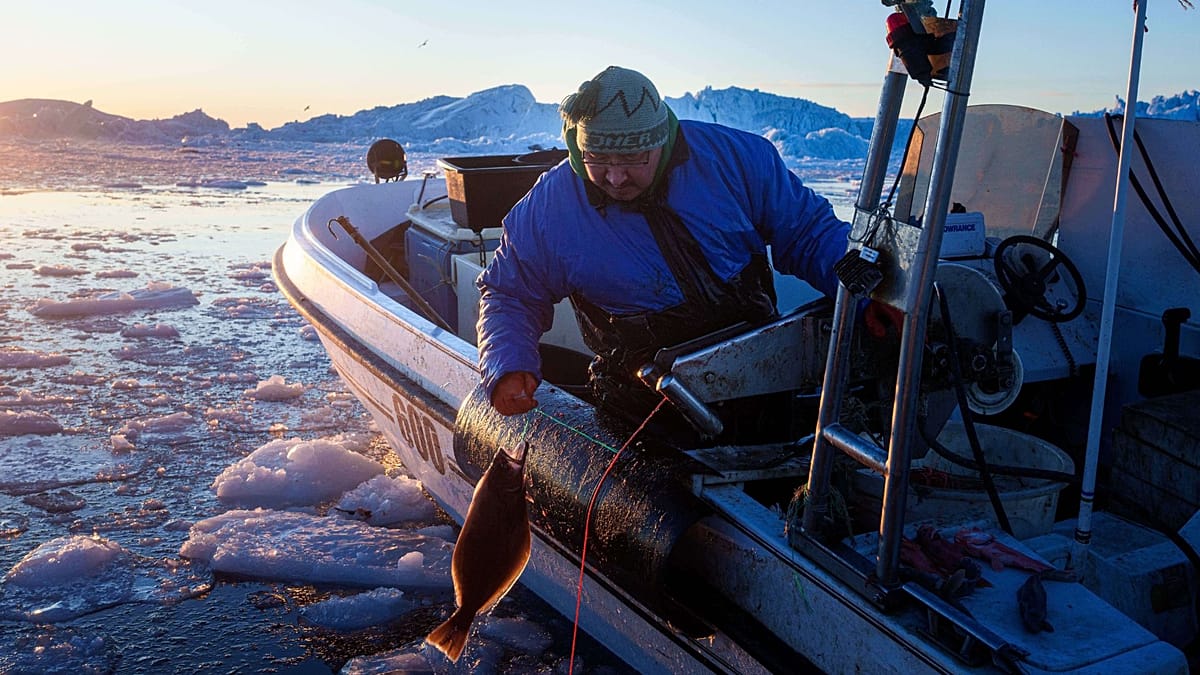 ‘It's too warm’: Greenland’s traditional fishers pushed towards polluting practices as ice melts