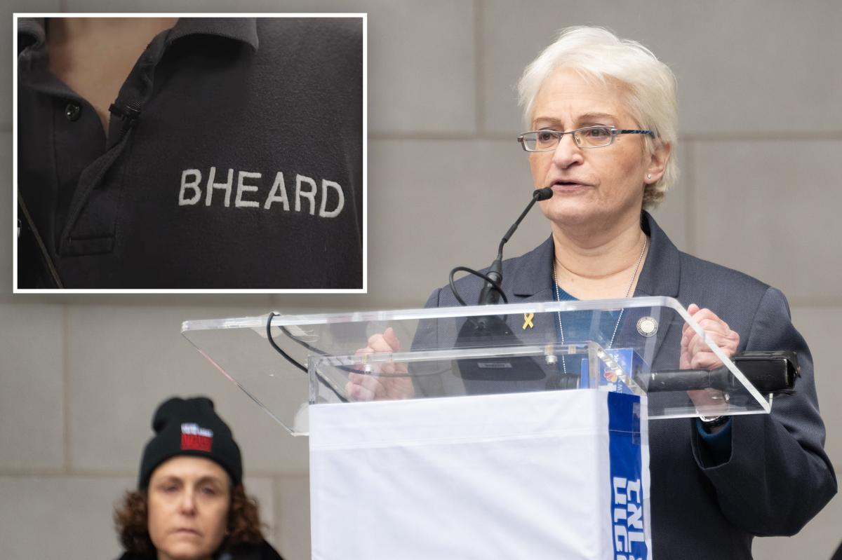 City Council presses Mamdani administration for 'clear information' on mental health 911 calls