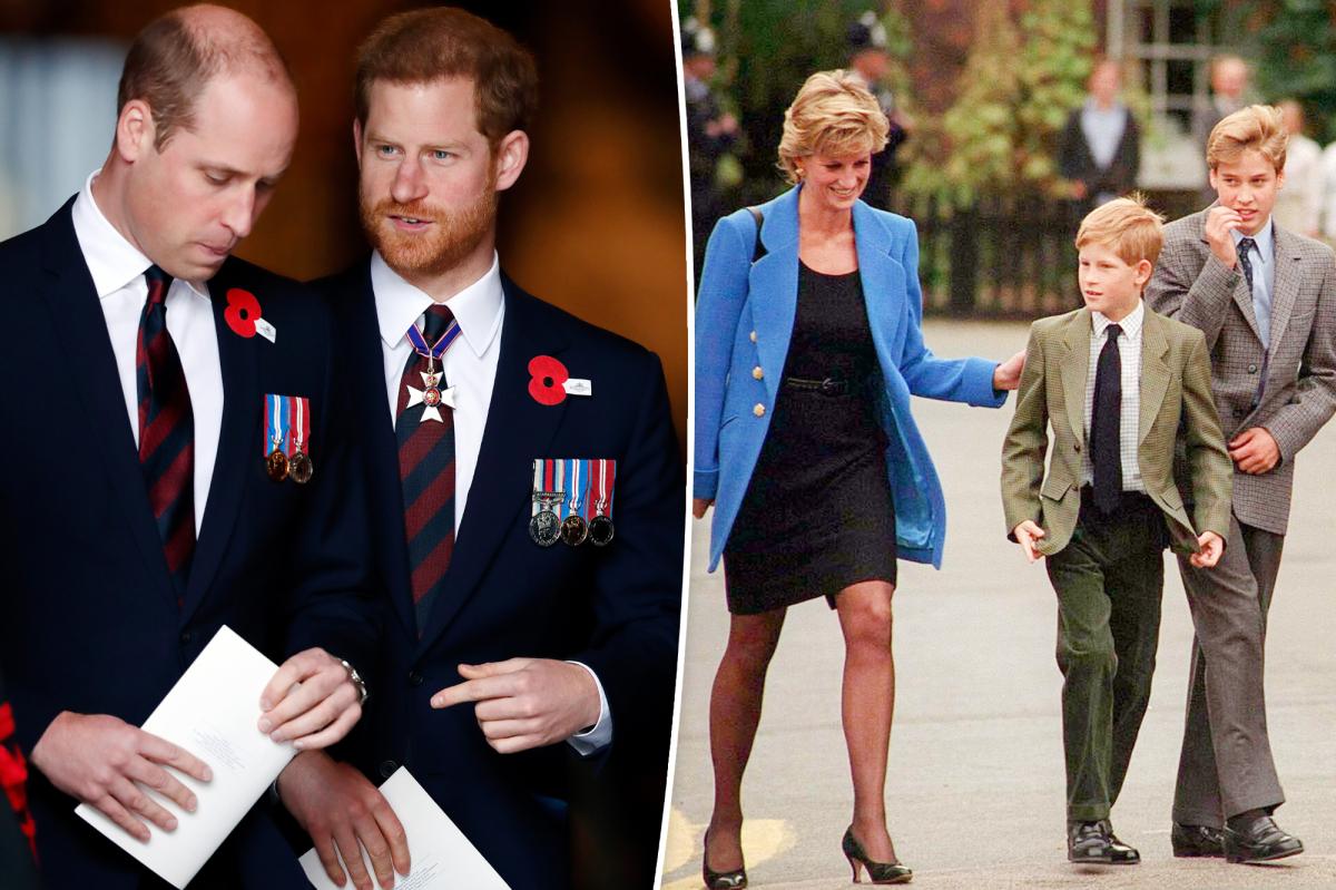 Princess Diana was preparing Prince Harry to be king over 'shy' Prince William: royal expert