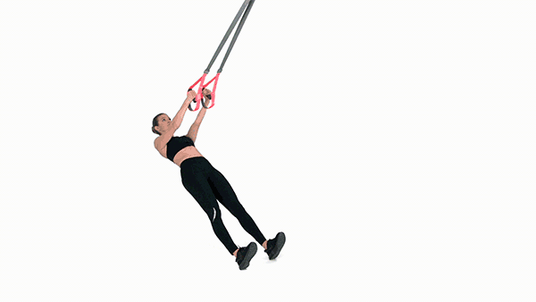 trx-rows rebel trx-rows rebel