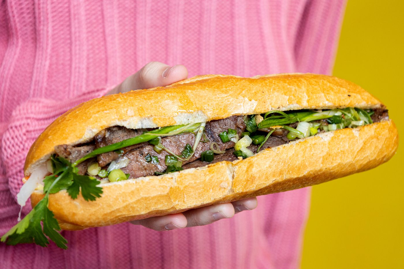 viet sandwich toronto