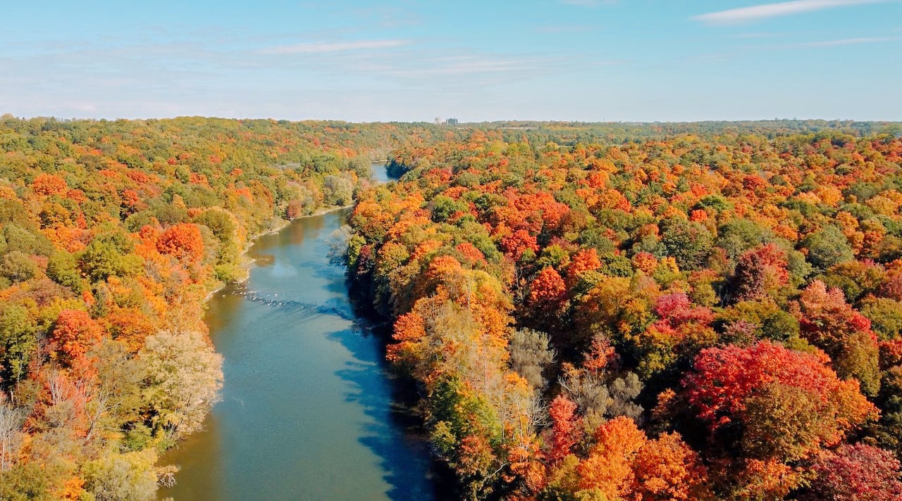 An aerial shot of the Thames River in fall, surrounded by colourful forest
