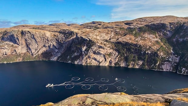 Salmon conservationists oppose termination of south coast MOU