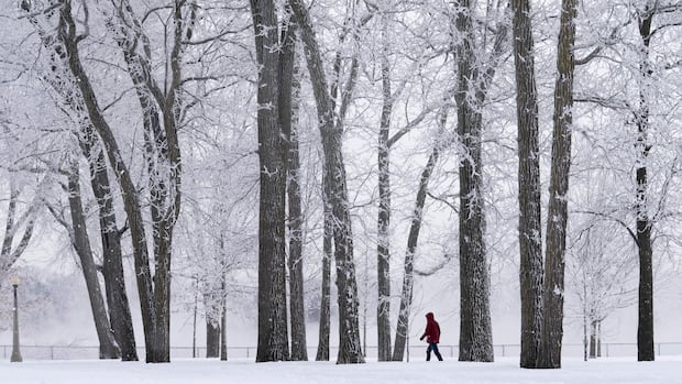 Cold weather warnings issued for Ottawa, eastern Ontario