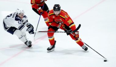 Dinos' season ends in hard-fought Game 3