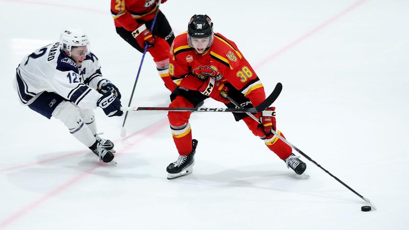 Dinos' season ends in hard-fought Game 3