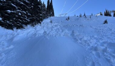 Avalanche near Kootenay Pass kills snowmobiler