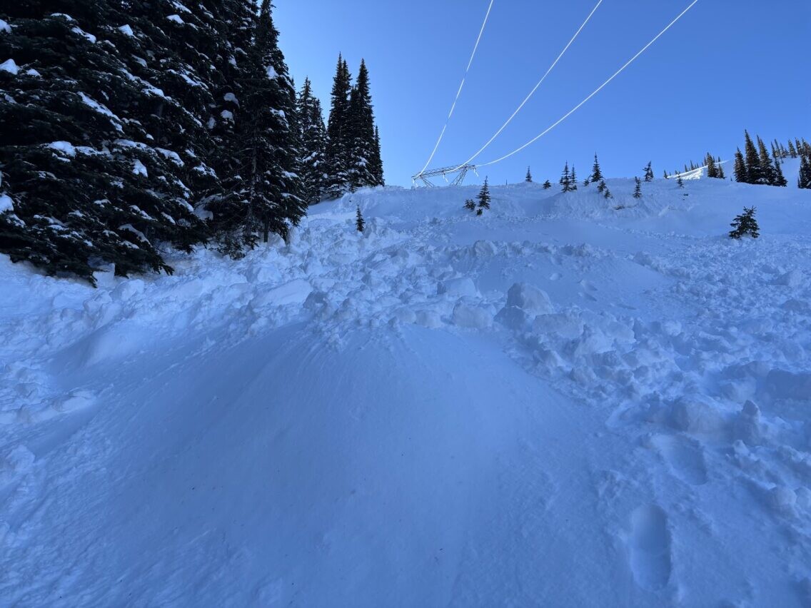 Avalanche near Kootenay Pass kills snowmobiler