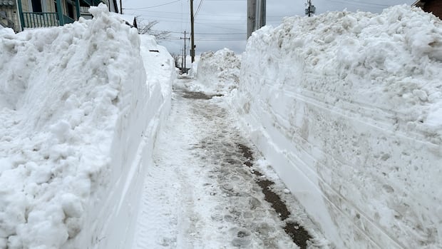 Nova Scotia schools could break records with snow days piling up