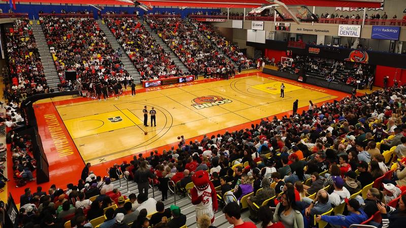 Dino Tracks: March 3-9 - University of Calgary Athletics