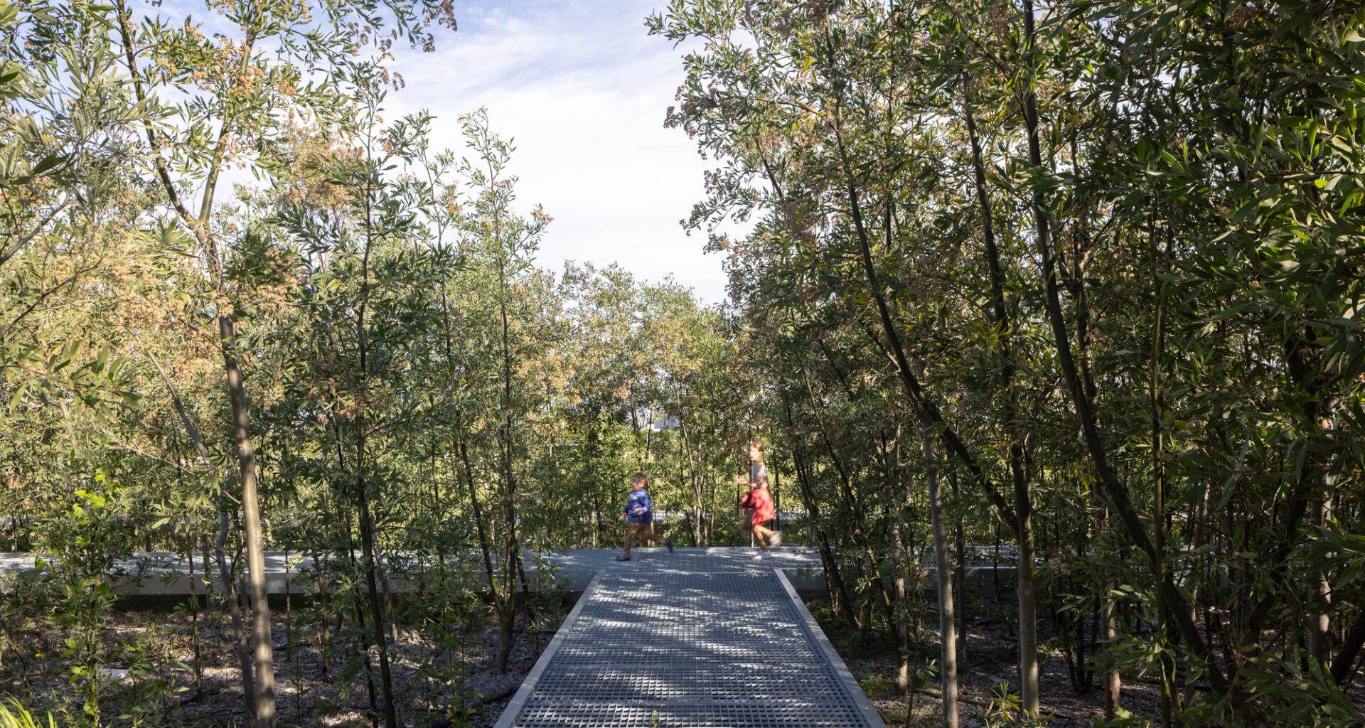 Malba Forest / Estudio Bulla