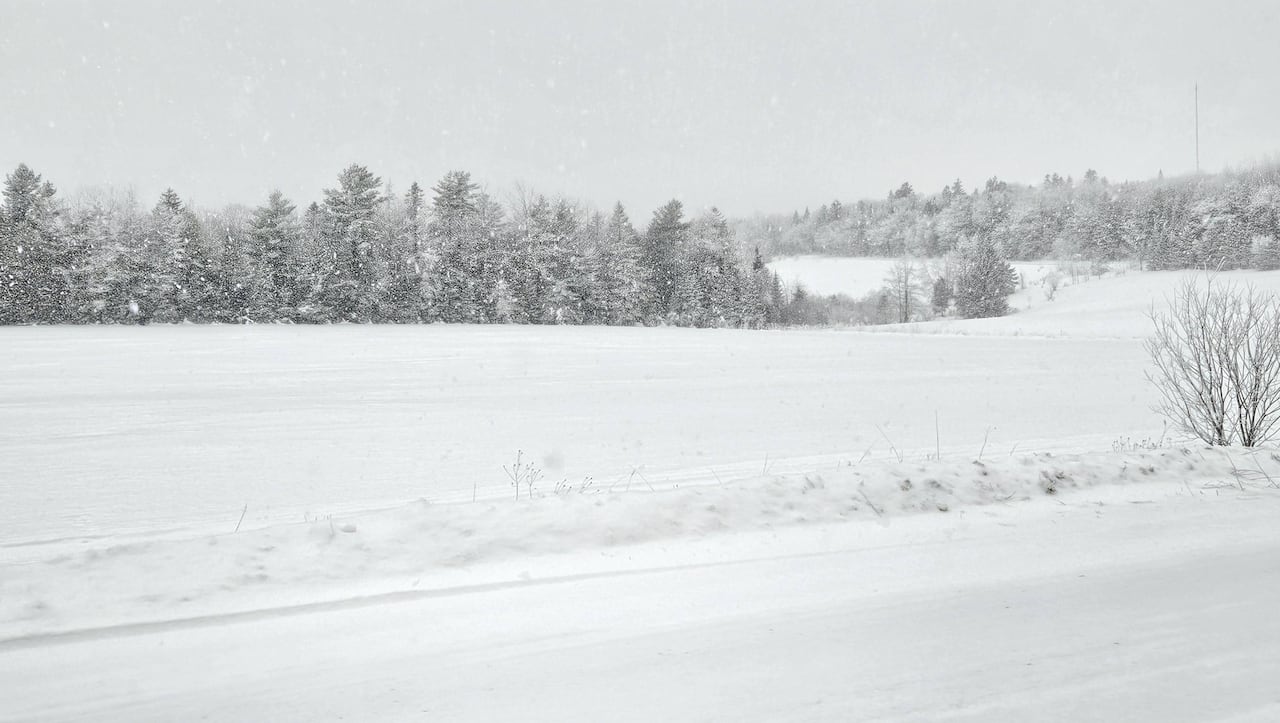 Snowy fields and trees