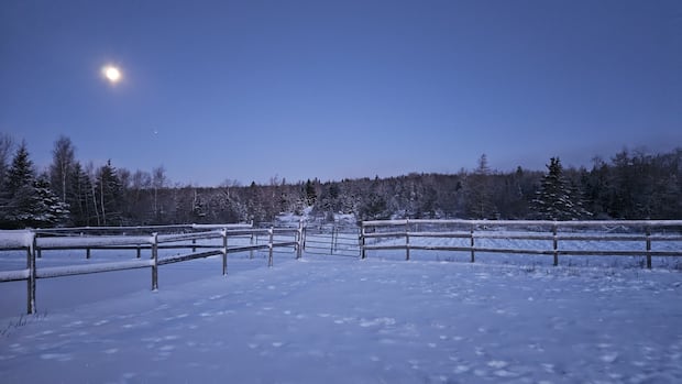 N.S. farmers hope snowy winter will mitigate effects of drought