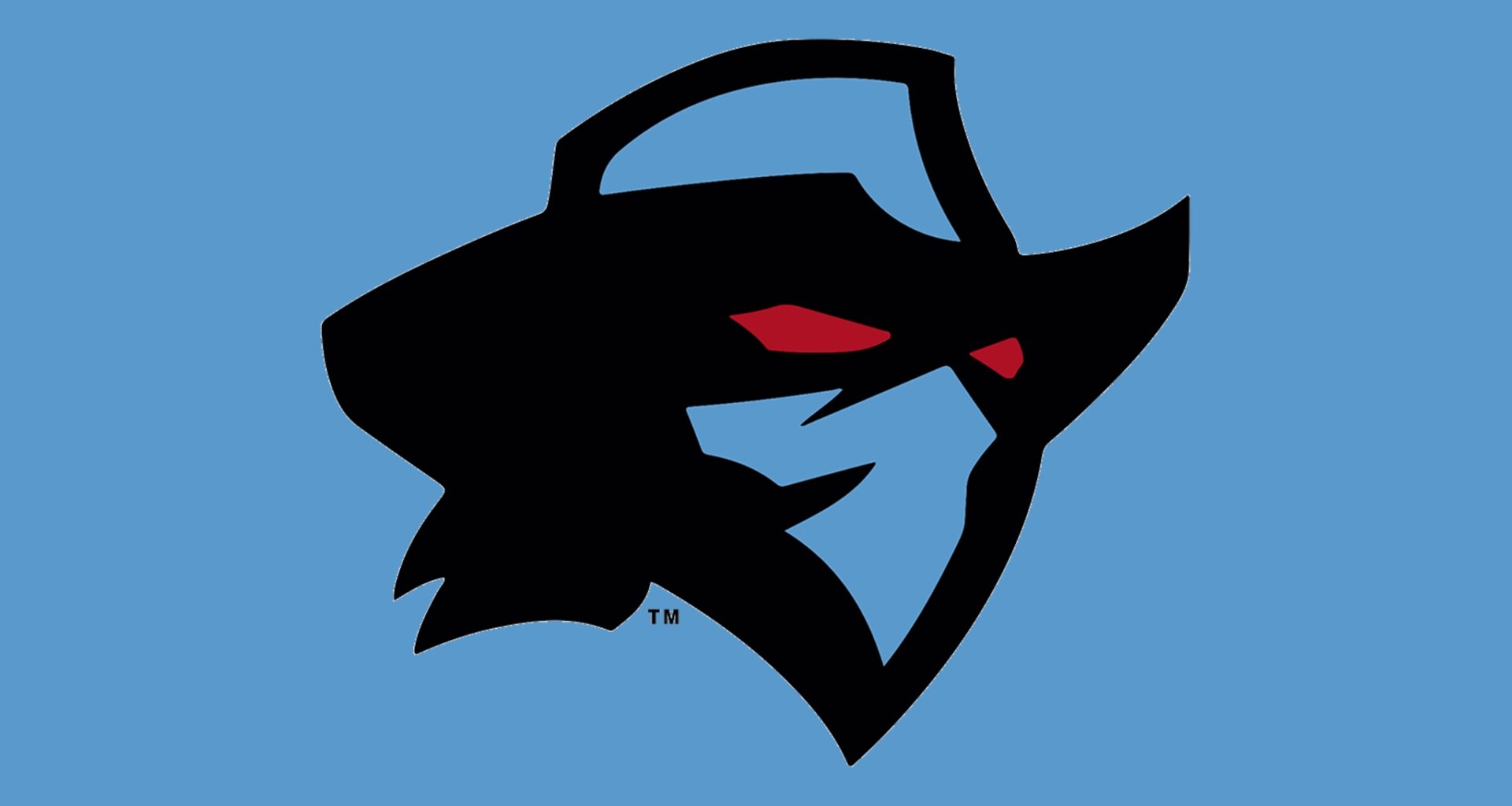 Dallas Renegades sign tight end Baylor Cupp – BGMSportsTrax