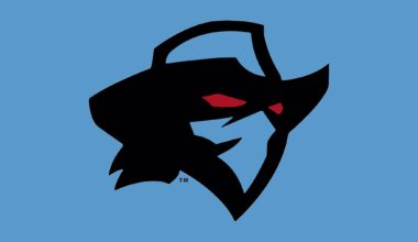 Dallas Renegades sign tight end Baylor Cupp – BGMSportsTrax